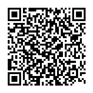 与其这样还不如直接找几艘已经出来的商船问问他们要不要去红枫城二维码生成