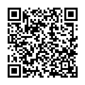 与此同时从这双羽翼里有着无数紫色气流随着狂风肆掠开来二维码生成