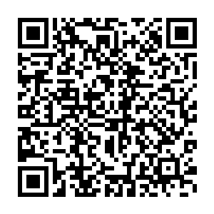 与此同时混沌钟上面也随即开始爆发出一股无比恐怖的强大的吞噬之力二维码生成