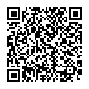 与潜伏在另一边的暗二对视一眼然后将目光紧紧地盯着山洞外的草地上二维码生成