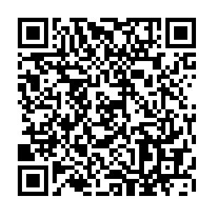 与这边隔了两条街的一片原本是王府的大宅子如今成了永乐朝这个小朝廷的皇宫二维码生成
