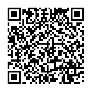 专心得应付着这一只卵的孵化……这可是一只能够和小龙相提并论的神秘存在二维码生成