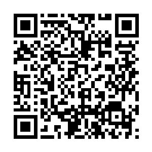 且不说注视着你走上红毯的是不是都是善意的目光二维码生成