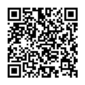 且明显蕴藏的力量也要比秦方手中的兽元金丹差了好几个档次二维码生成