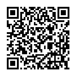 且达到圆满皇境的狼群……还是没有半点胜算的二维码生成