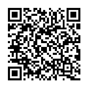 世上最可怕的不是君子离硬生生杀了一个巅峰皇级二维码生成