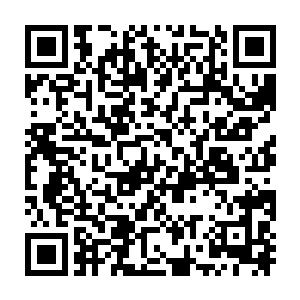 世子殿下少年时代经常与二姐和龙士姚简一起去北凉山脉寻龙点穴二维码生成