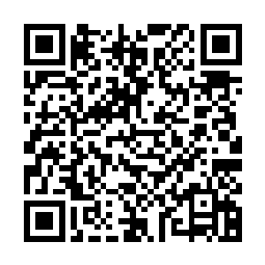 世家联盟和散仙盟中的那几个筑基期大圆满的弟子心中也是如此二维码生成