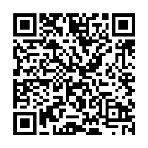 世界上再也没有像中国这样不重视自己语言的民族了二维码生成