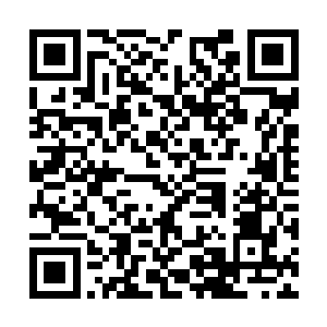 世间的纷扰让这一个看似简单的夜晚变得无比珍贵二维码生成