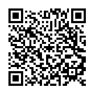 东天丞相东方有梦与大将军西门无生竟然产生了一种诡异的错觉二维码生成