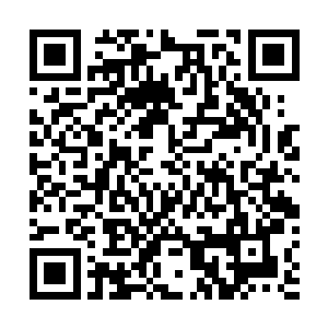 东方家主和长老可是一脸无奈的听着龙王说了大半个小时二维码生成