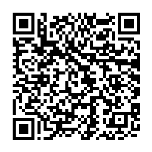 东方青妍与慕容玥等人潇洒如仙般坐在雪鸢的背上俯瞰新月大陆如画的江山之时二维码生成