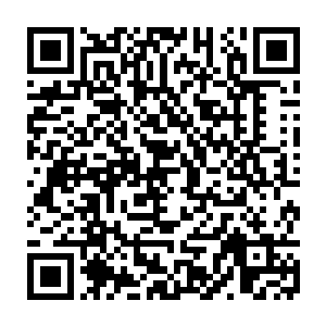 东海郡明面上只有十三个领主以及跟在这十三个领主下面的一票家族而已二维码生成