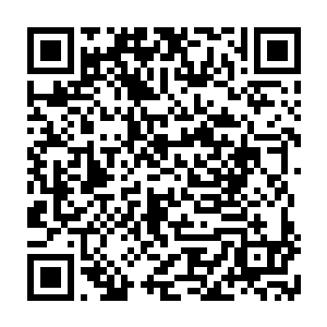 东皇主宰四人若是想要研究一些比九转神皇诀第一等级的功法可能轻而易举二维码生成