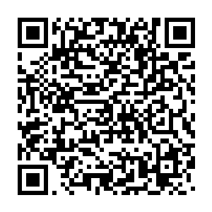 东黎墨觉得要是前世的白芷璃是二十九死次啊结束了自己的生命的话二维码生成