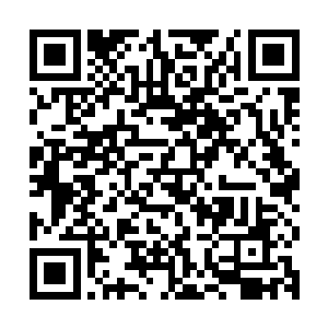 丝毫没有注意到在它的上空已经有人惦记上了它守护多年的灵药二维码生成