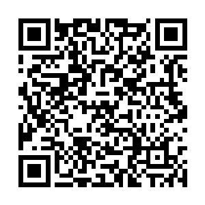 两个人像斗鸡一样的大眼瞪小眼的互相瞪了一会儿二维码生成