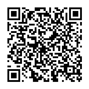 两个人的互相谦让客套的场面让性格直爽的伊桑一科恩看不下去了二维码生成