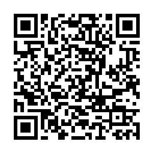 两个儿子也是完全就没有任何理会自己老爹的意思二维码生成