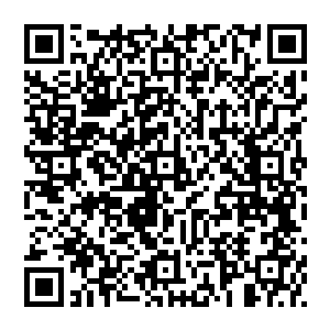 两个刚刚还愁眉苦脸唉声叹气的铁龙宗的弟子目瞪口呆的看着神骏的铁龙宗神兽雷隼降落在他们面前的一个院子里二维码生成