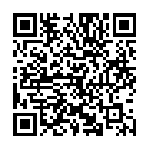 两人原本计划晚上二人世界到布鲁塞尔广场看跨年烟火表演二维码生成