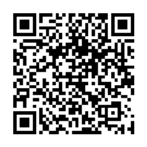 两人又不约而同的看了一眼正在和司南下亲切交谈的郑明堂二维码生成
