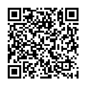 两人只是偶然到大学的退体教师活动中心一起下下棋什么的二维码生成