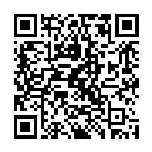 两人带的东西并不多每人一个拉杆箱里面还只放了几件衣服二维码生成