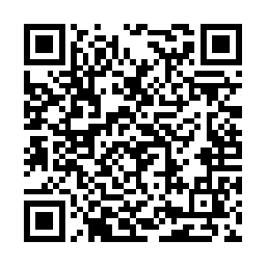 两人看到叶枫居然用手指轻轻一动就可以划破虚空二维码生成