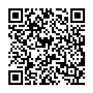 两双眼不敢跟外面那一双美丽但是琉璃玄妙般眼对视二维码生成