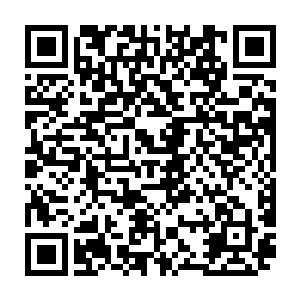 两台机器人去白露星一家很有名的机器人用品商店买了一箱苹果味的能源剂二维码生成