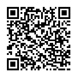 两名s级杀手就这样简简单单的死在了夏天的手中二维码生成