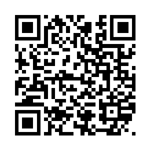 两块差不多大小的兽皮重叠放在一起二维码生成