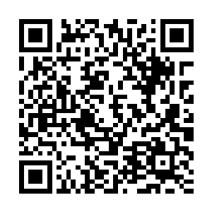 两大德鲁伊同时催生的世界树的确给传奇小队提供了强大的后盾二维码生成