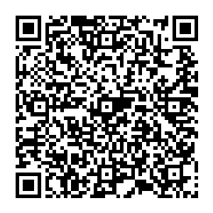 两尊上古准圣极限大能心惊胆战的看着风清扬彼此对视一眼双眼发狠如此不死不休那便分出个生死二维码生成