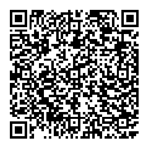 两年前在金殿外的那个雨夜口口声声对明郁说的每一个字与对金殿内之人所表现出来的爱也都只是为了报复明郁罢了二维码生成
