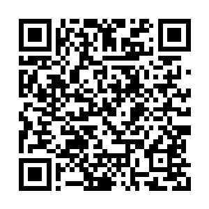 两年时间本大爷把你们教成炼丹大师还不成问题二维码生成