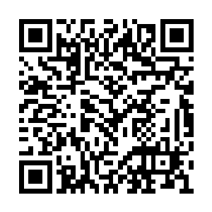 两支将树上蹿动的带着厚厚绒毛的长尾野鼠钉住二维码生成