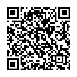 两道嗜血鬼蝠的身影也再一次瞬间来到了他们的面前二维码生成