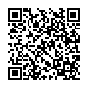 严家几乎主导了华夏了军事科研与生化工程的研究二维码生成