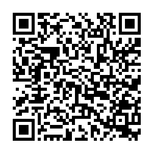 严小酥叶紫苏配合兰陵和木森演了一场好戏算是打通了发展迪达星的第一步二维码生成