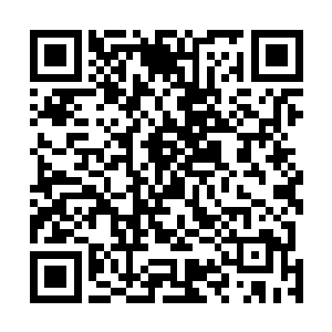严教授实在有点摸不清这次来的交流团究竟打了什么激素二维码生成