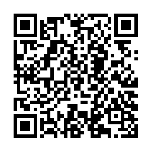 严默今天的话只不过让他们以前的猜测变成真实而已二维码生成