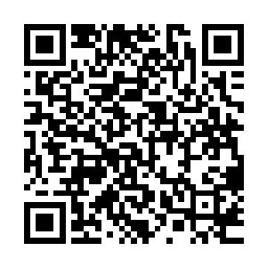 个体实力的过于薄弱使它们依然没有资格参与到唐劫的战争中二维码生成