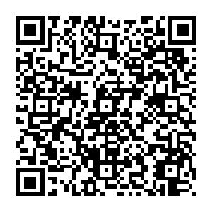 中国驻多尼亚哥大使馆设宴为医疗队洗尘并安顿医疗队在多尼亚哥的一家酒店休息了一晚后二维码生成