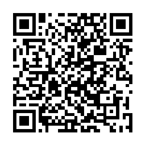 中高级训练法会根据他以后的贡献点数来决定要不要传授二维码生成