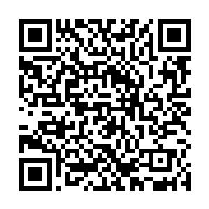 临死前强行用闪现进塔换掉了同样血量所剩不多的西浅二维码生成
