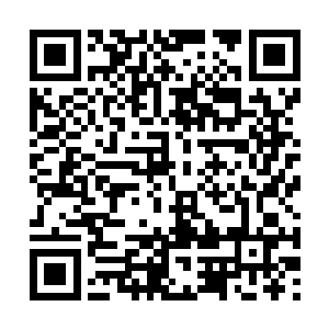 临淮侯也信守承诺的再一次来考较熊孩子的功课了二维码生成