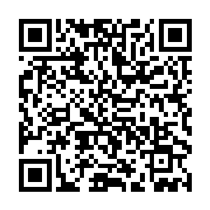 丸起到作用之后你也就基本上差不多变成一个巫妖了二维码生成
